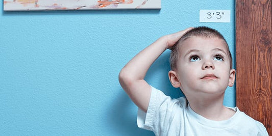 Door Jamb vs Wooden Height Chart