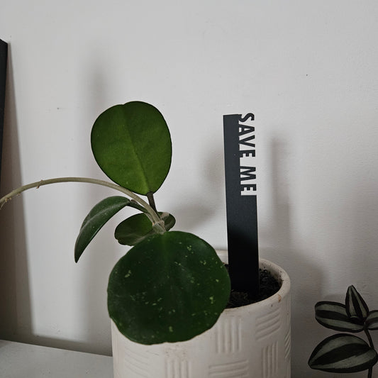 Funny Pot Plant Stakes