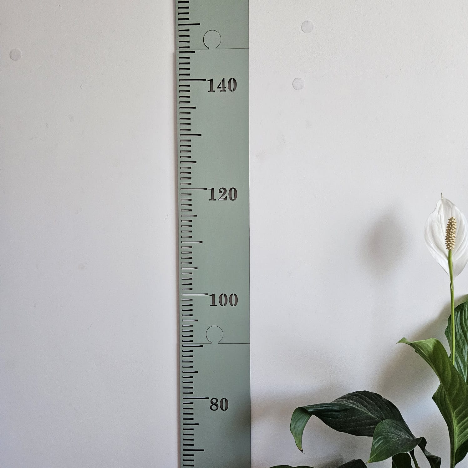 Sectional Height Chart Painted