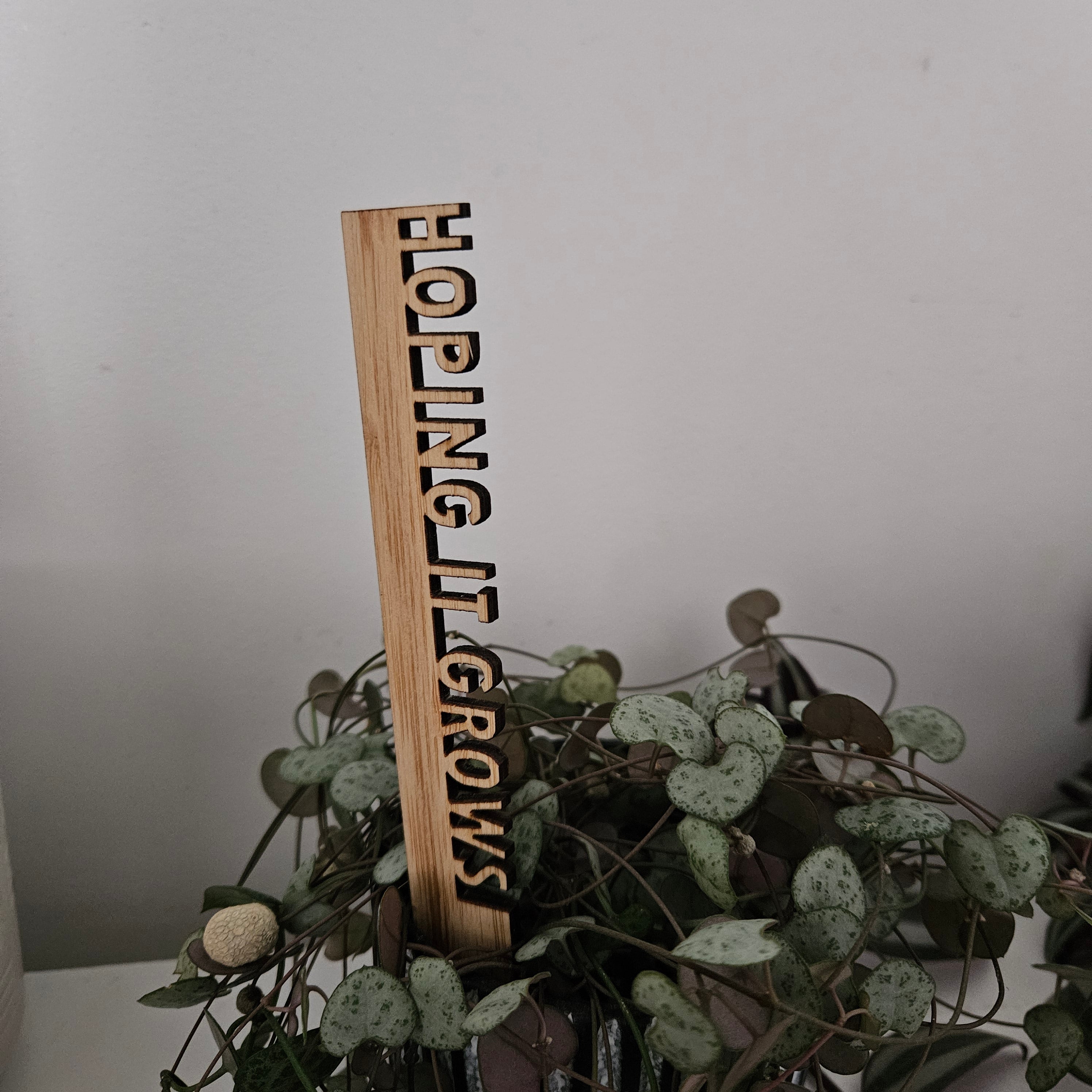 Funny Pot Plant Stakes